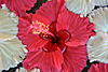    
: DSC_0230.jpg
: 3
:	94.0 
ID:	5791