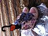     
: IMG_0338.jpg
: 231
:	96.9 
ID:	624