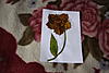     
: IMG_3375.jpg
: 16
:	95.4 
ID:	6589