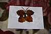     
: IMG_3380.jpg
: 14
:	93.1 
ID:	6592