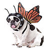     
: PET20101-Butterfly-Dog-Costume-large.jpg
: 11
:	83.5 
ID:	6703