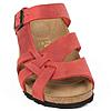     
: birkenshtok.jpg
: 0
:	13.1 
ID:	7260