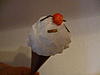     
: P1000137.jpg
: 26
:	107.5 
ID:	8466