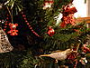     
: P1000182.jpg
: 112
:	97.8 
ID:	8527