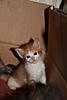     
: IMG_0279.jpg
: 20
:	80.8 
ID:	9268