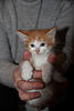     
: IMG_2153.jpg
: 23
:	82.0 
ID:	9271