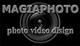  magiaphoto.com